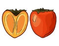 Persimmon. Delicious Oriental fruit. Bright orange fruit in a simple cartoon style.